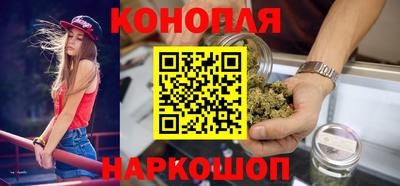 прущие грибы Шахты