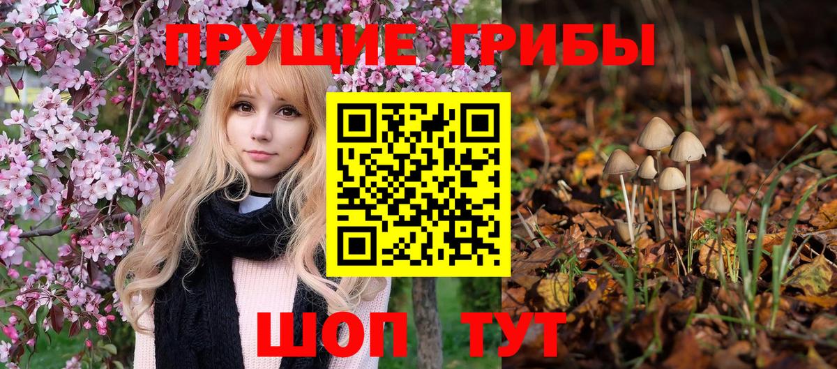 Волжский  Псилоцибиновые грибы ЛСД  Галлюциногенные грибы Psilocybe  Вход с VPN 